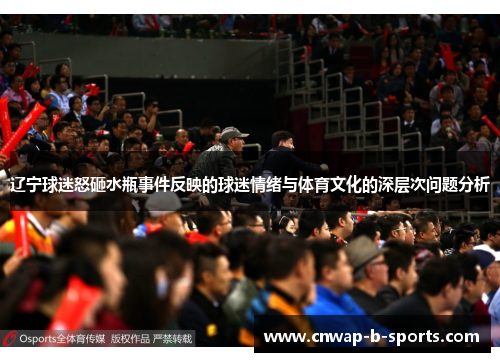 辽宁球迷怒砸水瓶事件反映的球迷情绪与体育文化的深层次问题分析 辽宁球迷怒砸水瓶事件反映的球迷情绪与体育文化的深层次问题分析