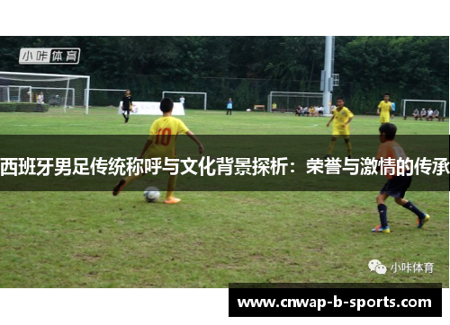 西班牙男足传统称呼与文化背景探析：荣誉与激情的传承