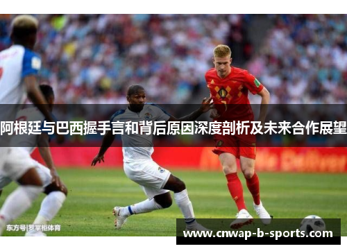 阿根廷与巴西握手言和背后原因深度剖析及未来合作展望