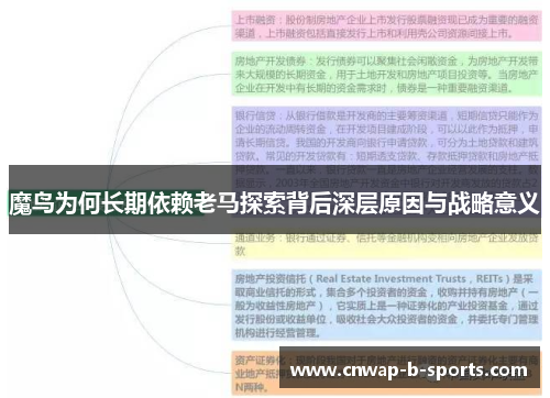 魔鸟为何长期依赖老马探索背后深层原因与战略意义