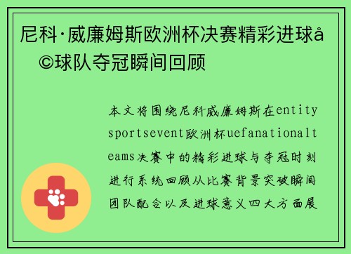 尼科·威廉姆斯欧洲杯决赛精彩进球助球队夺冠瞬间回顾